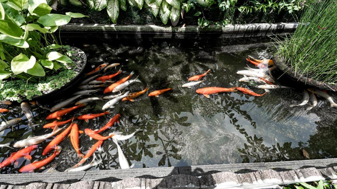 Gunung Merta Bungalows Ubud  Ngoại thất bức ảnh